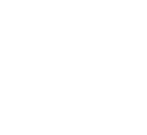 Brainblurb-logo